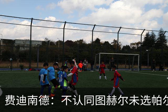 费迪南德：不认同图赫尔未选帕尔默的决定，后者在大赛证明过自己