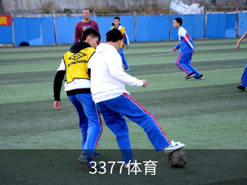 关于3377体育